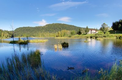 Lac de Lispach_7991810767_l.jpg